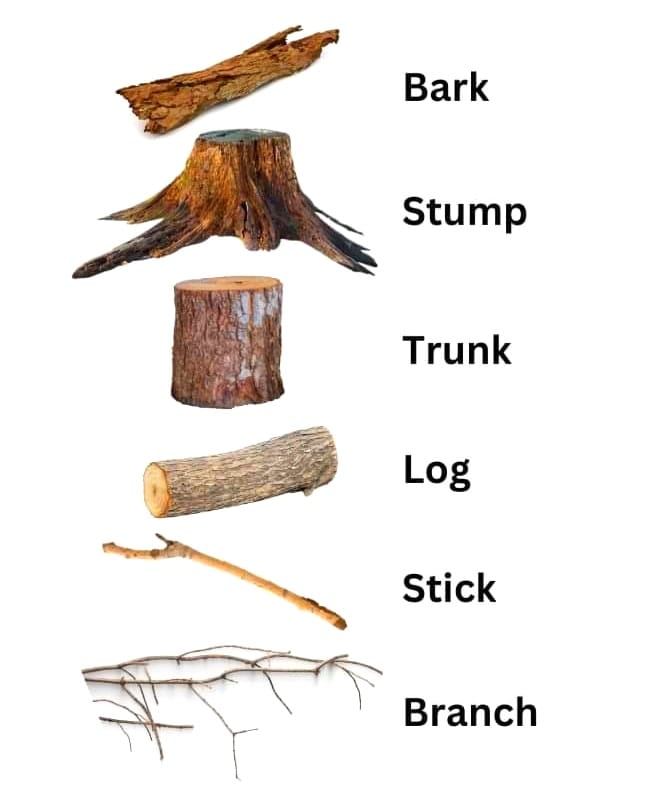 trees