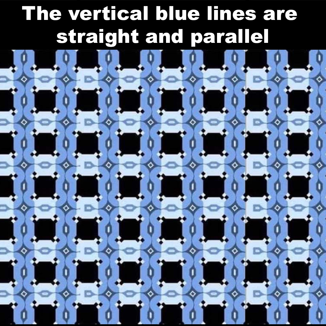 verticalLines